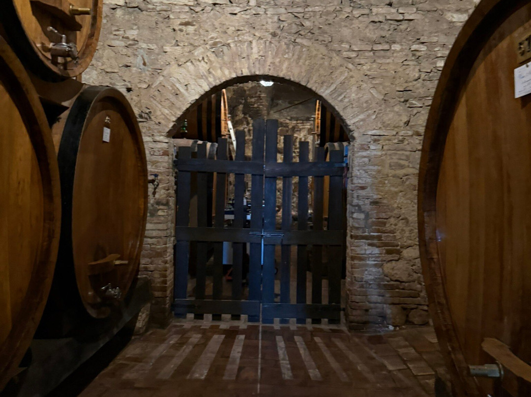 Contucci Cantine景点图片