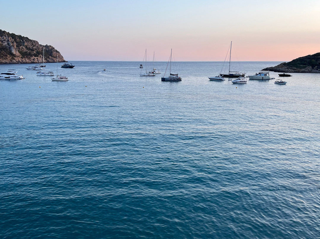 Hostal Dragonera主图