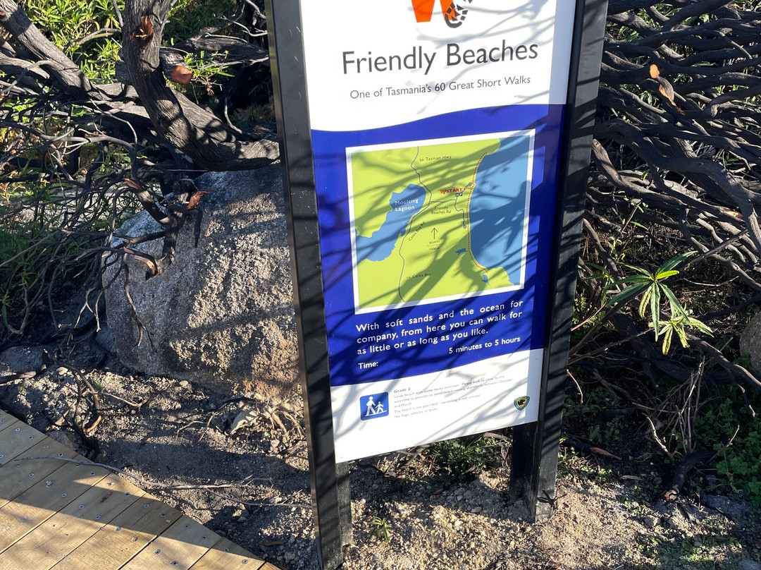 Friendly Beaches景点图片