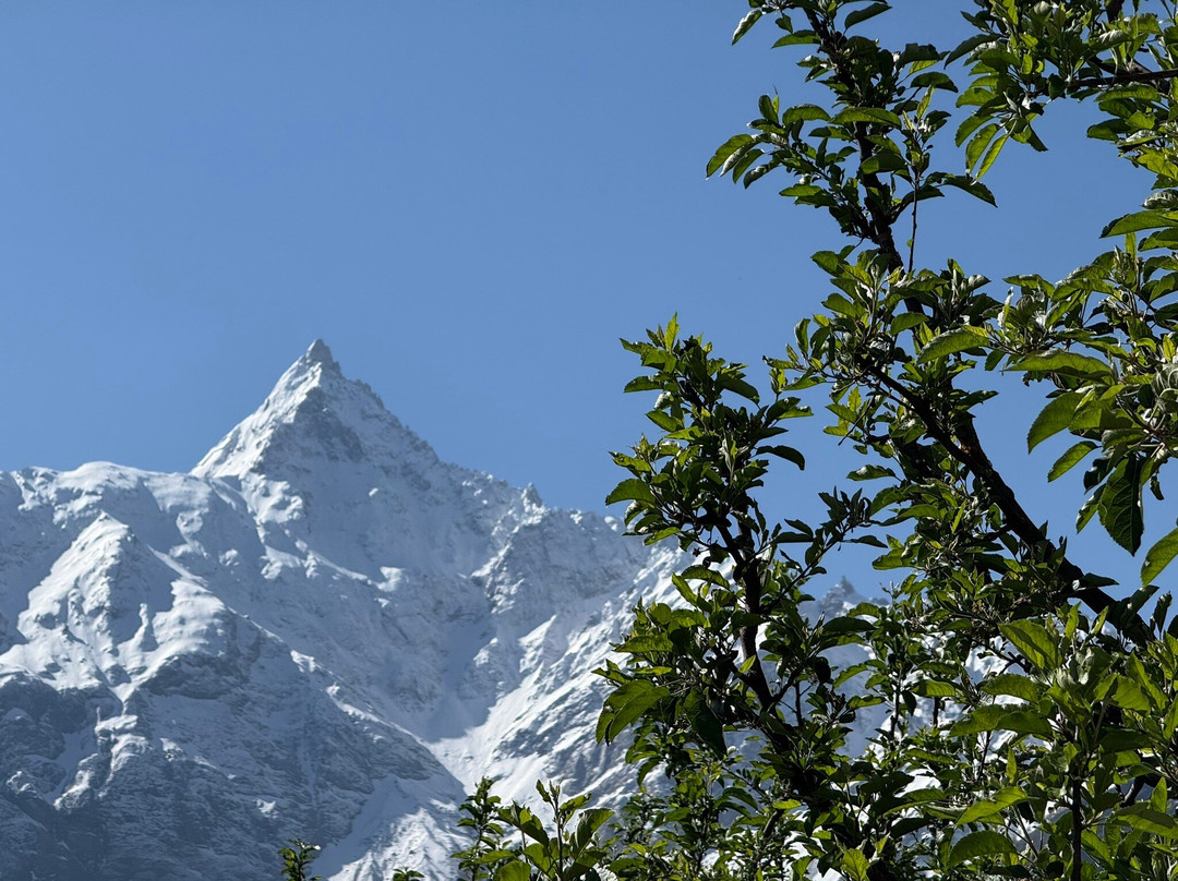 Up Mohal Gyamil酒店住宿-Hotel Kalpa