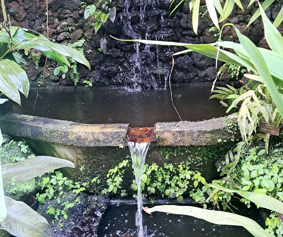 Botanical Garden, Bonn-波恩必去景点