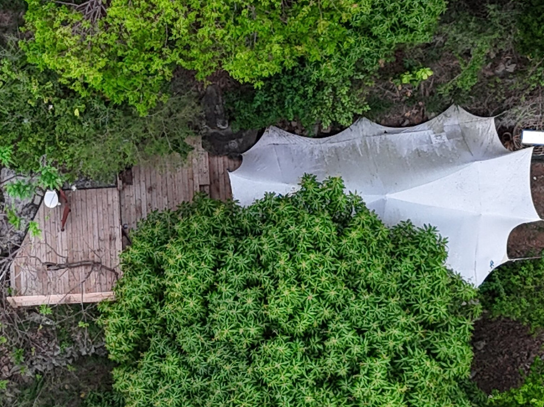 The Hillside: Eco Retreat-菲利普斯堡必去景点