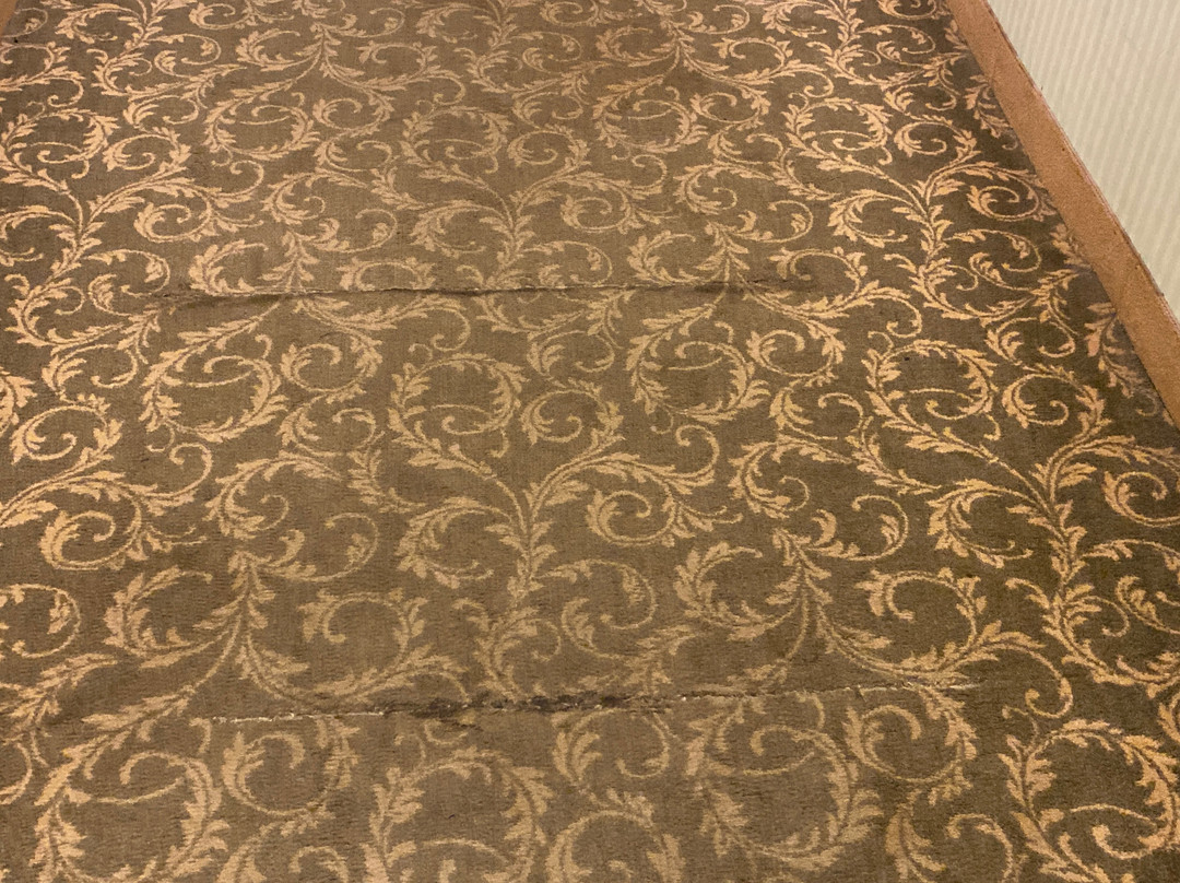 萨尔瓦托大酒店主图