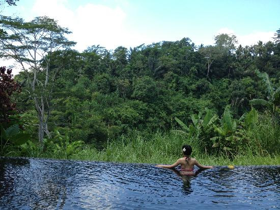 皇家皮塔马哈酒店主图