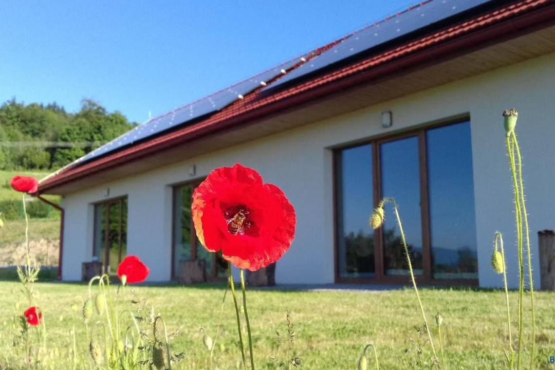 Agroturystyka Las Gora Natura