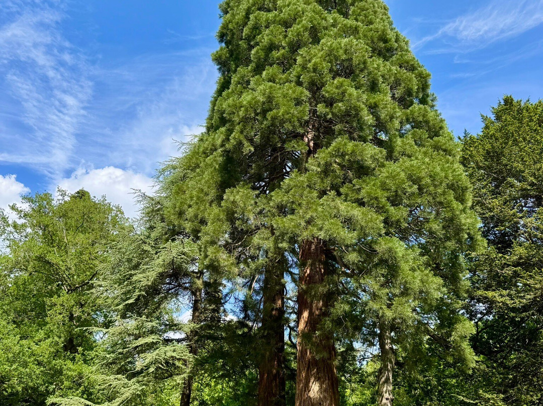 Wakehurst-Haywards Heath必去景点