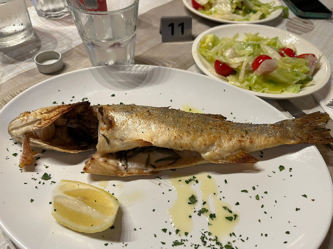 Dr Fish