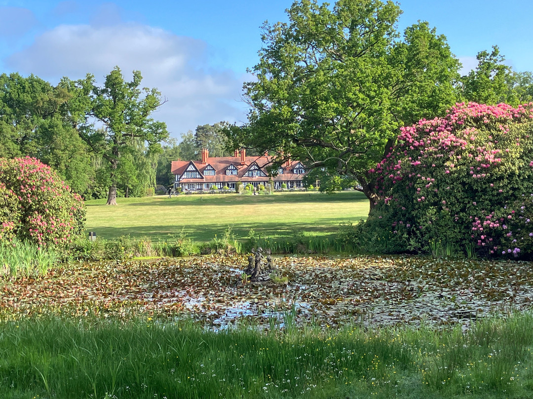 The Petwood Hotel主图