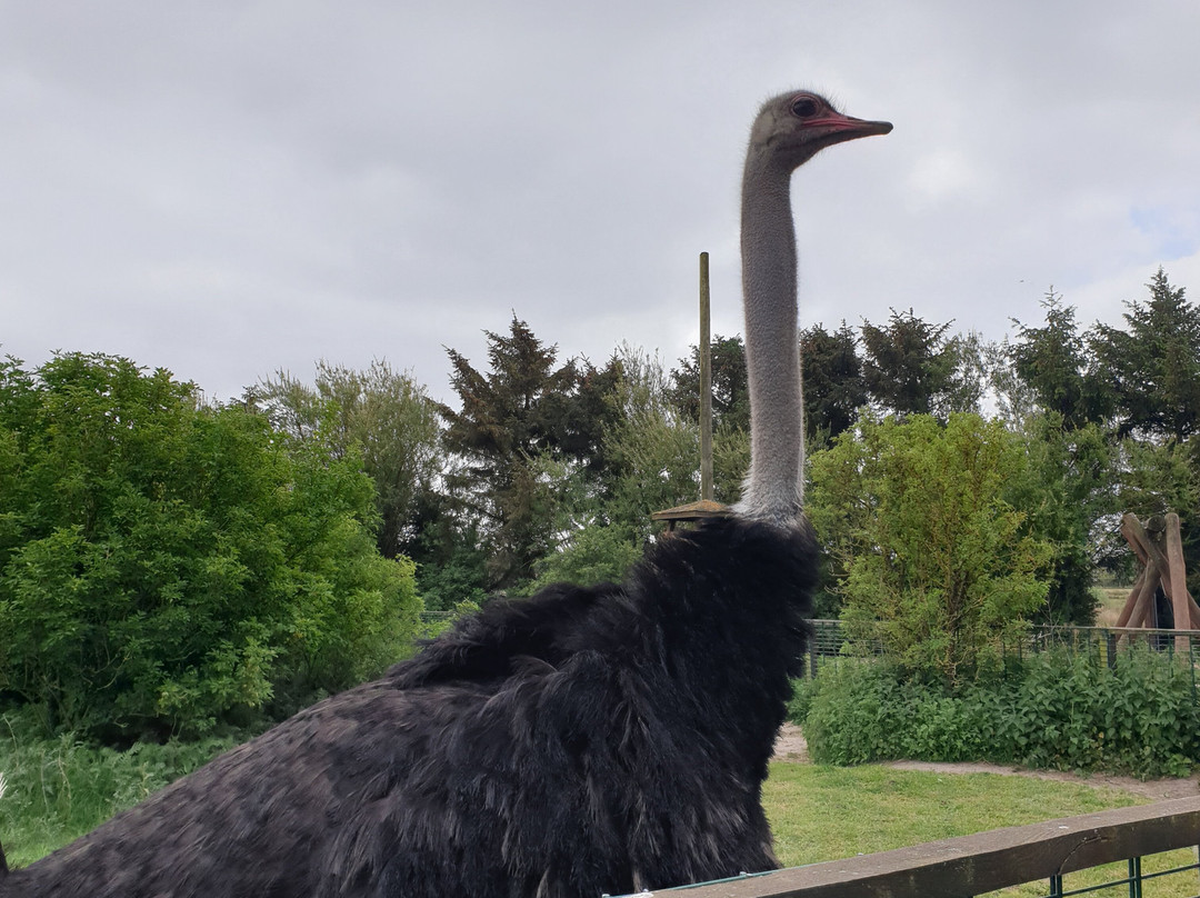 Blåvand Zoo-Blaavand必去景点