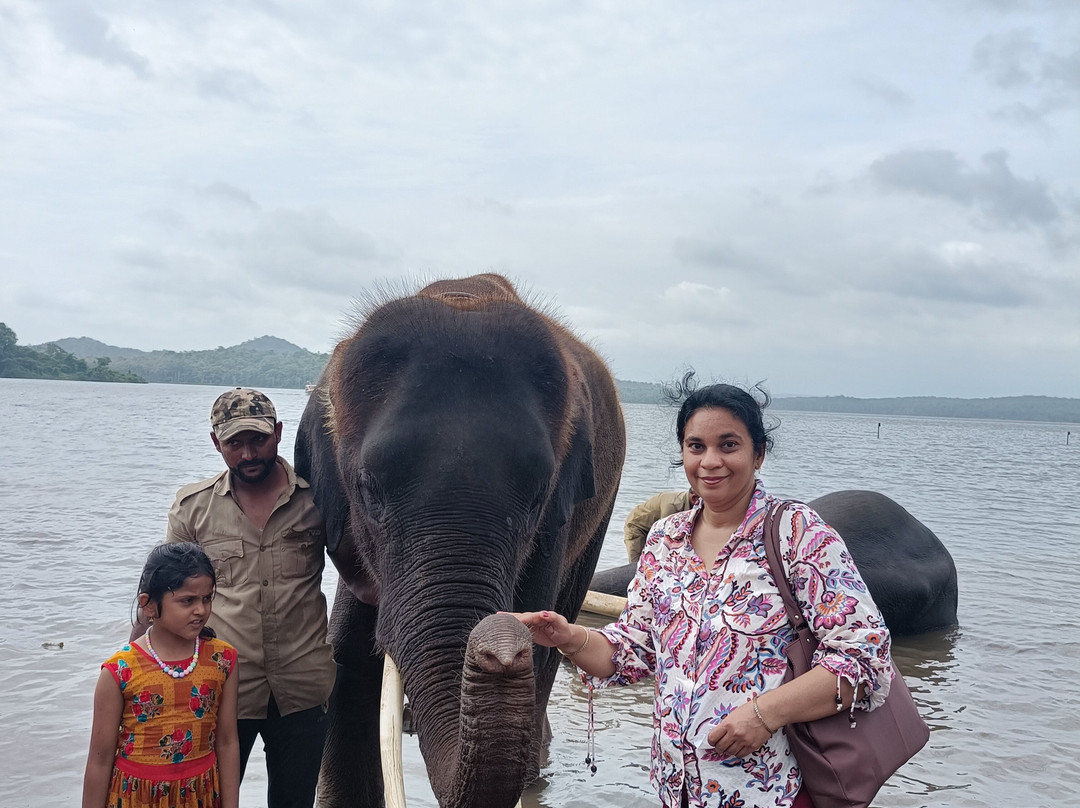 Sakrebailu Elephant Camp-Shimoga必去景点