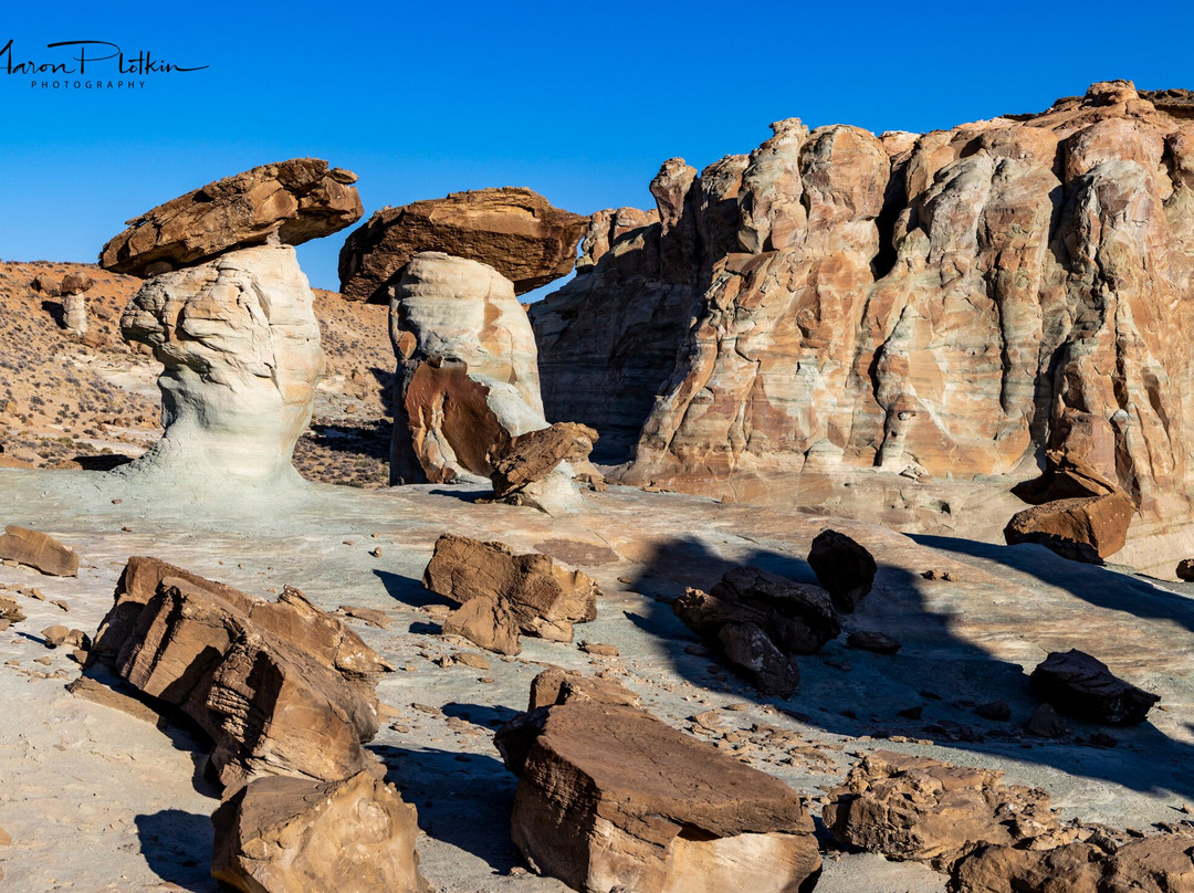 Action Photo Tours-卡纳布必去景点
