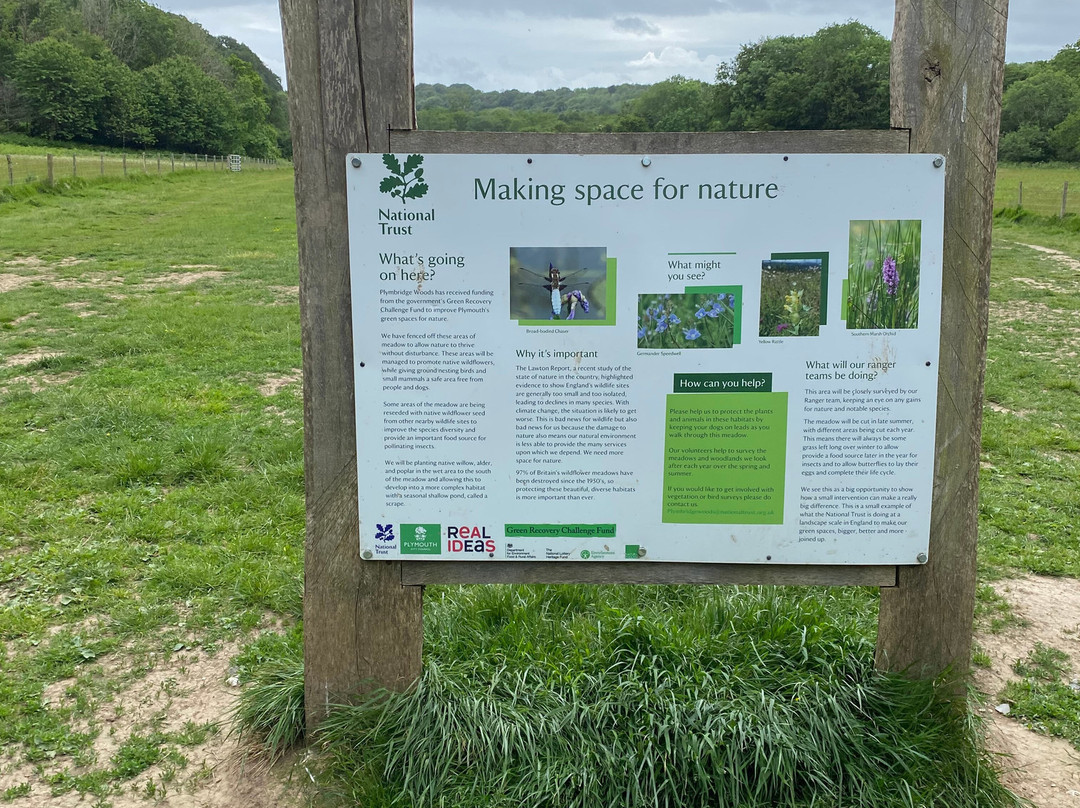 Plymbridge Woods-普利茅斯必去景点