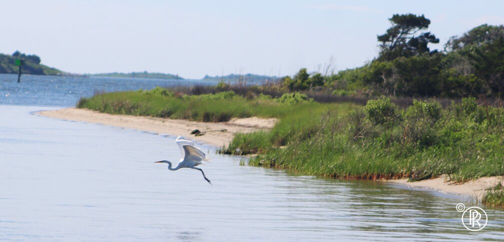 Outer Banks Adventures & Watersports-纳格斯海德必去景点