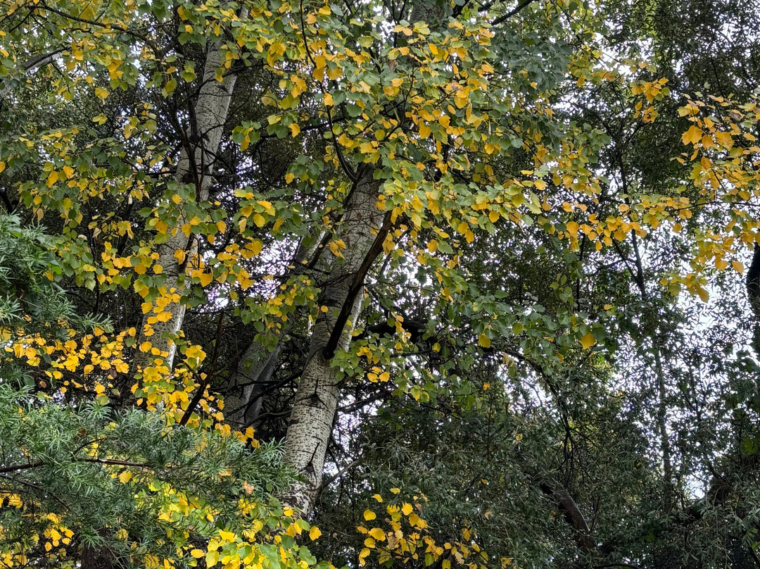 The Baths-Citrusdal必去景点