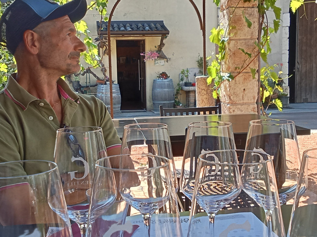 Cantina Gentili - Sinceramente vino景点图片