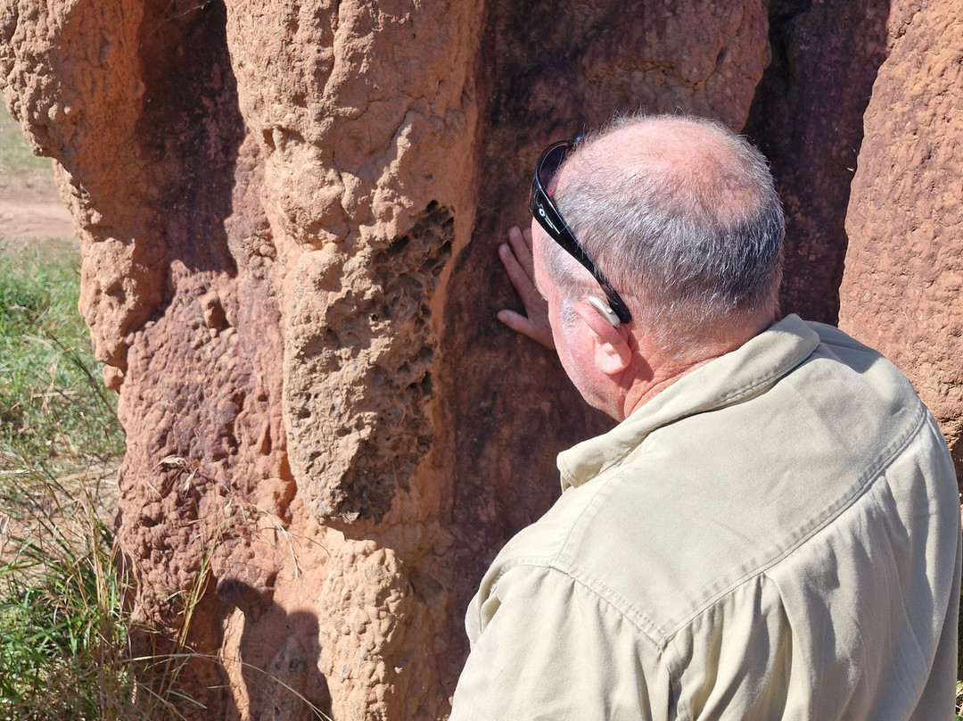 Litchfield Tours-达尔文市必去景点