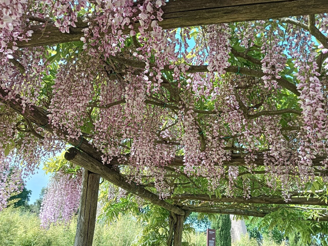 Moutan Botanical Center景点图片