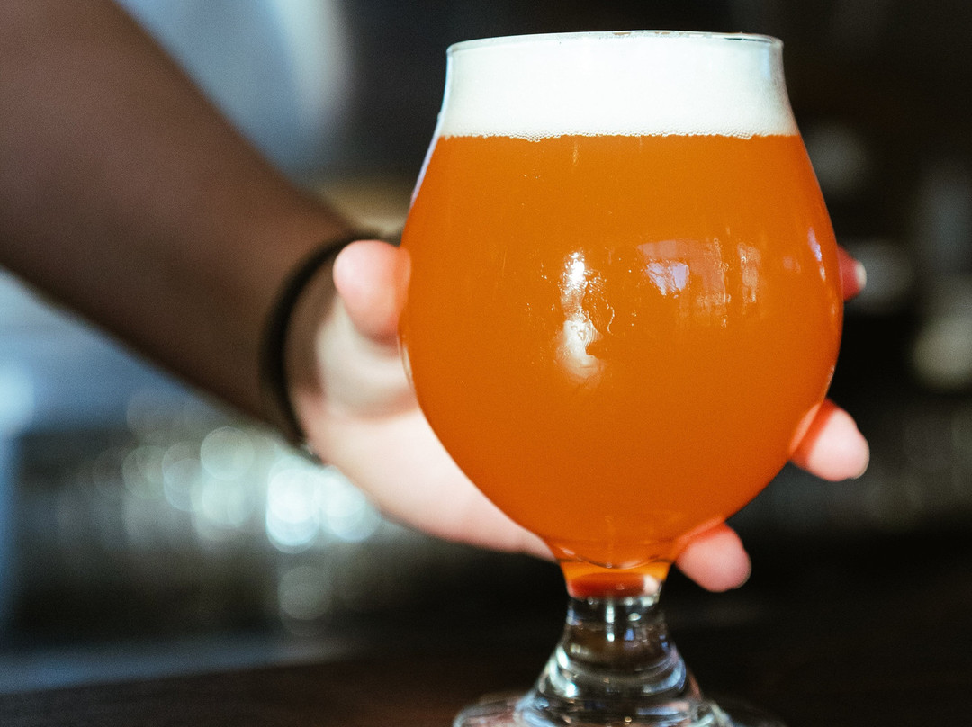 Celebration Brewing Company景点图片