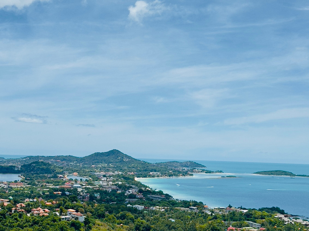 丛林俱乐部主图