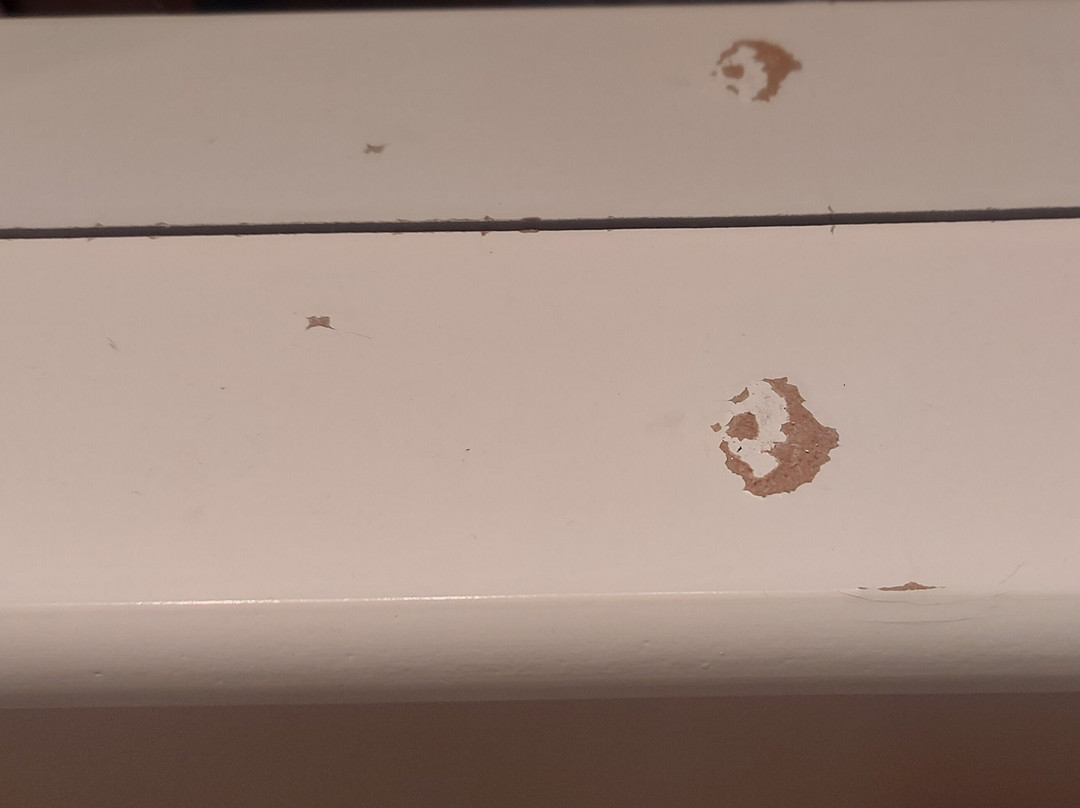 祖姆本奈迪克汀弗拉尔酒店主图