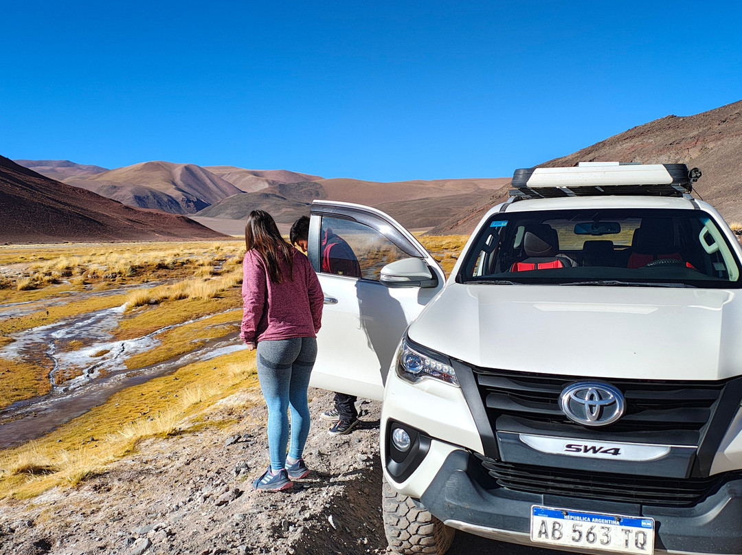 Salar De Antofalla景点图片