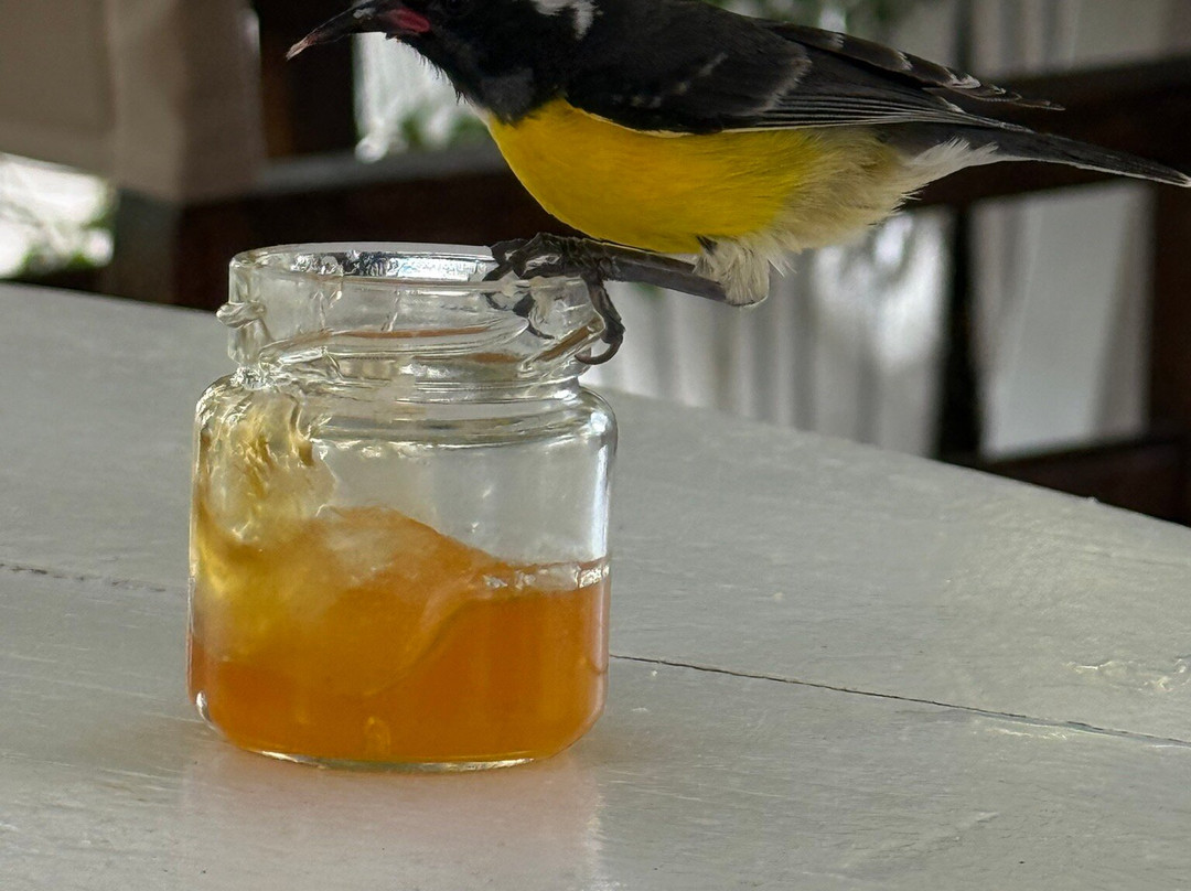 Cabana Beach-库拉索必去景点