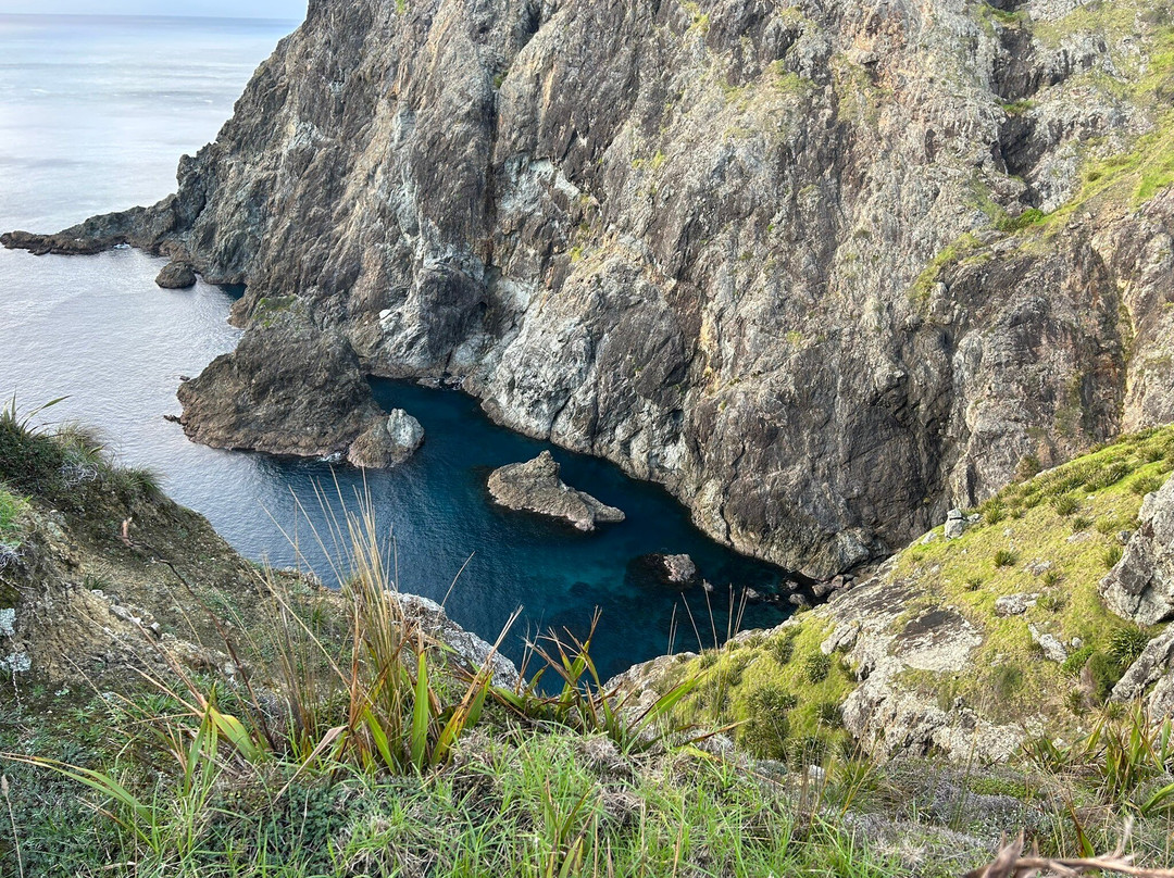 Cape Brett Walkway景点图片