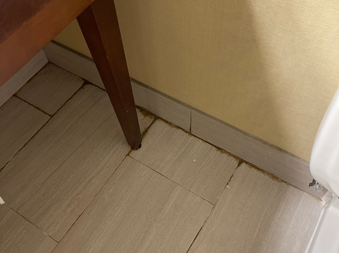 Holiday Inn Akron West - Fairlawn by IHG主图