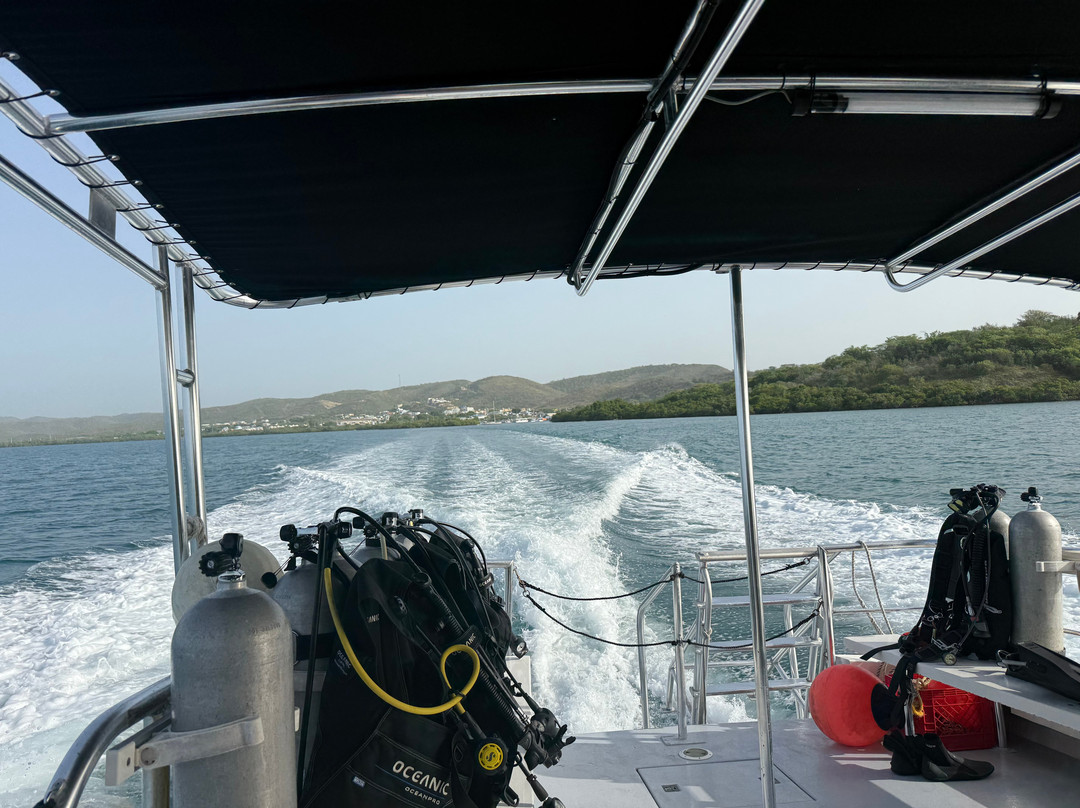 Paradise Scuba & Snorkeling Center-La Parguera必去景点