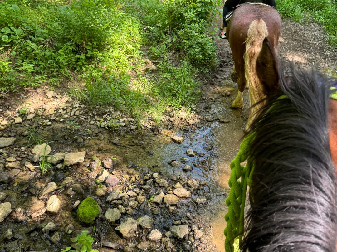 Red Fern Riding Center-Simpsonville必去景点