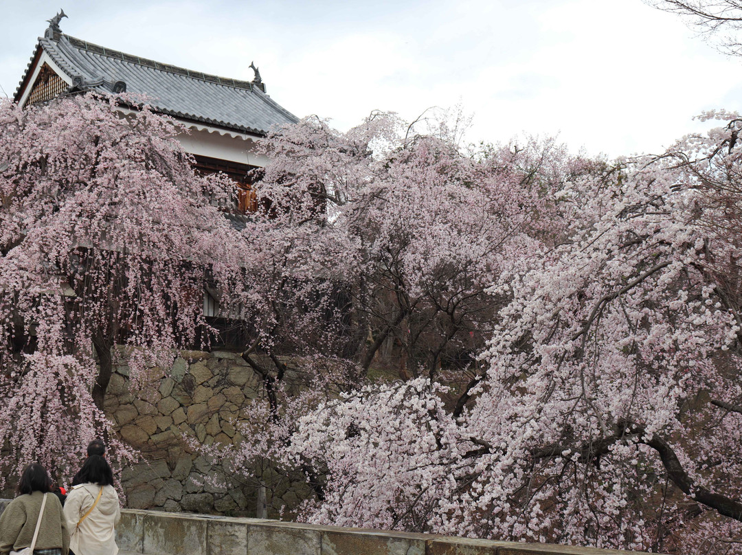 Uedajo Minamiyagura Kitayagura Yaguramon-上田市必去景点