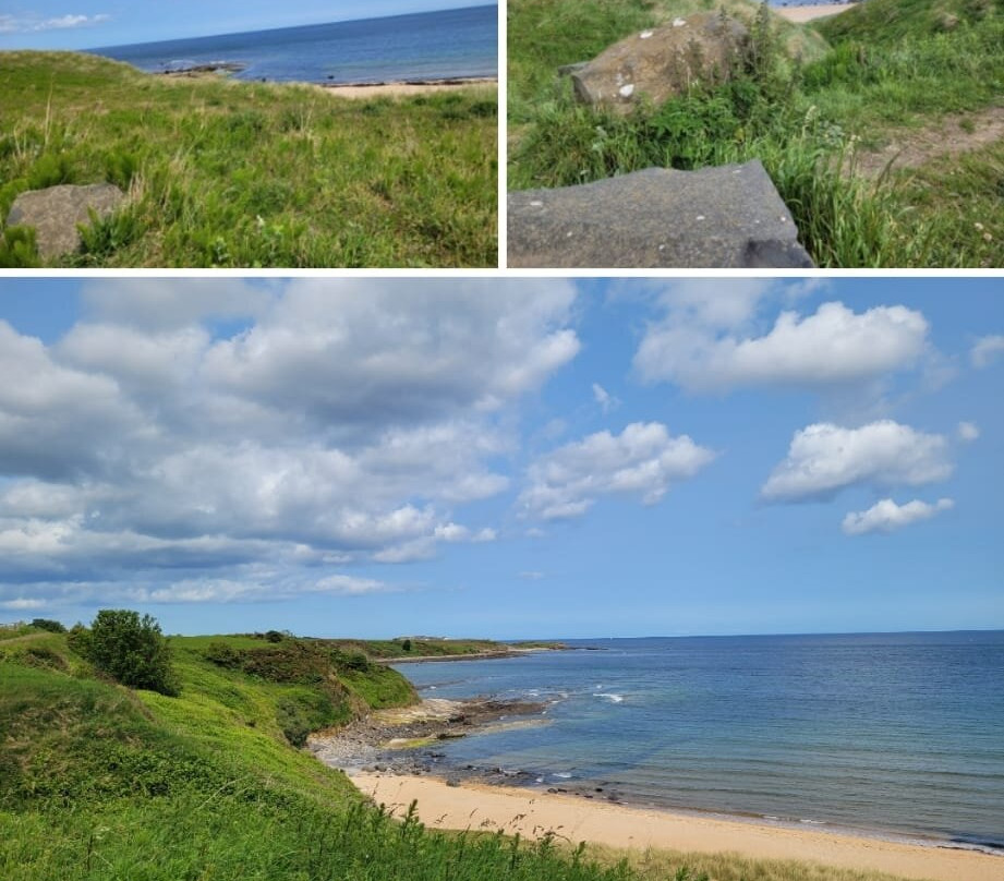 The Fishing Boat Inn主图