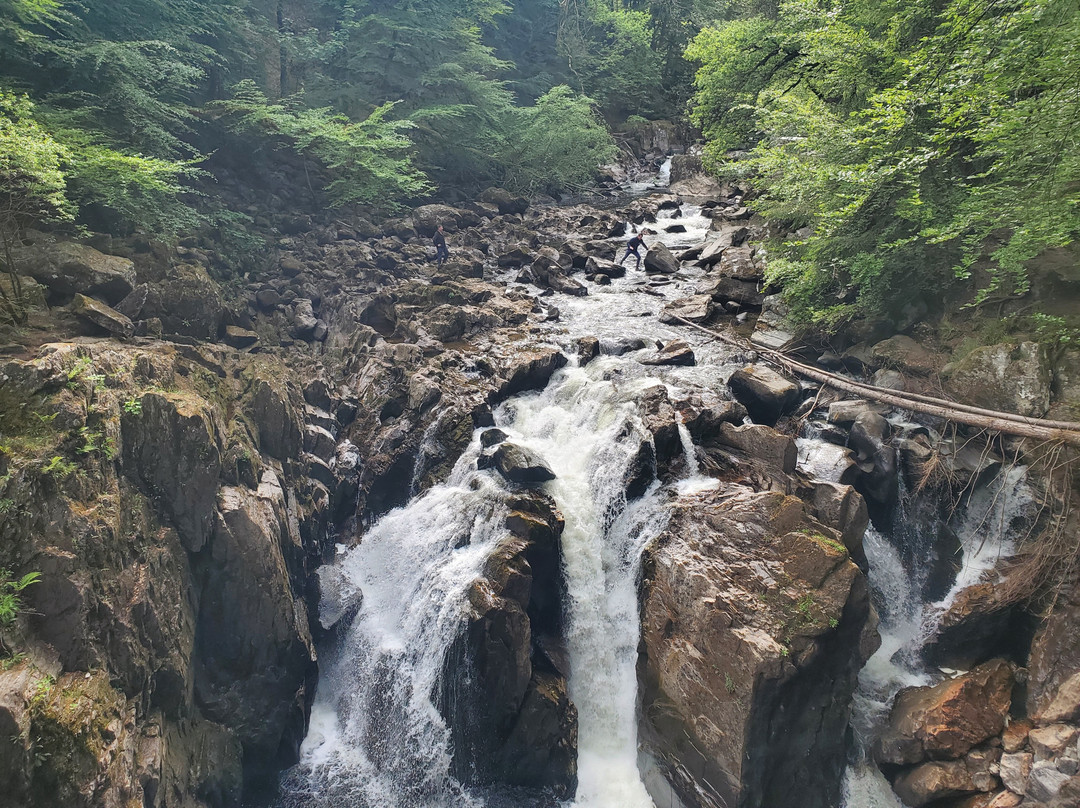 The Hermitage-Dunkeld必去景点