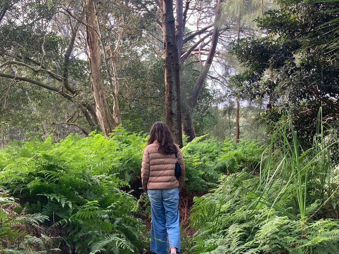 悉尼世纪公园-悉尼必去景点