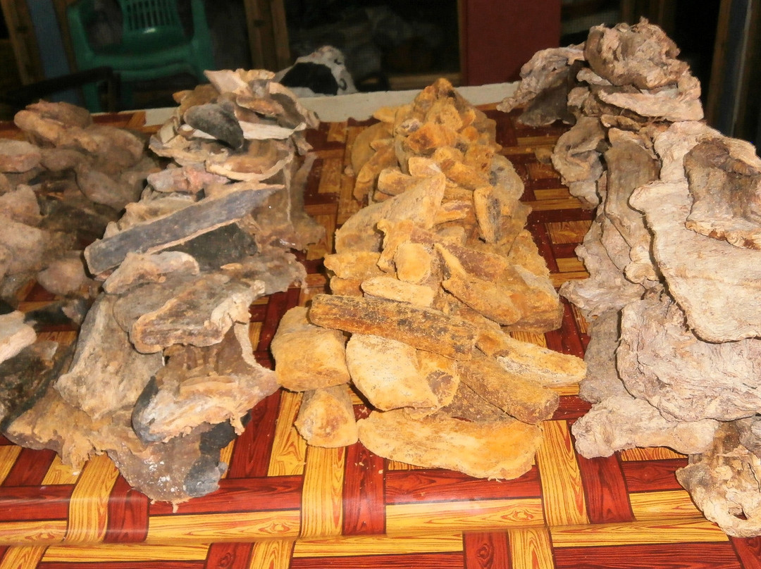 维多利亚市场-维多利亚必去景点