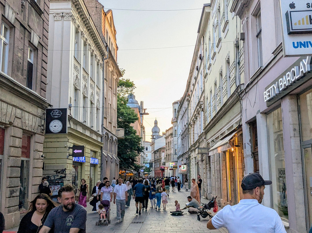 Bestination Tours-萨拉热窝必去景点