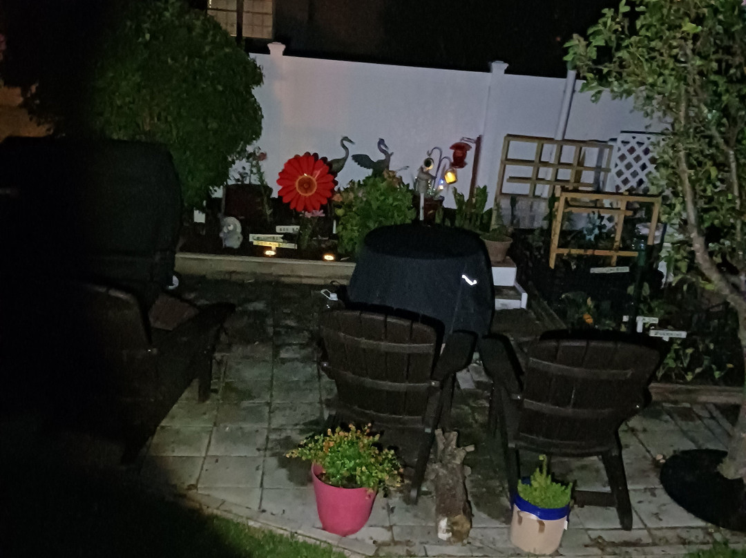 2nd Time Designs-Millsboro必去景点