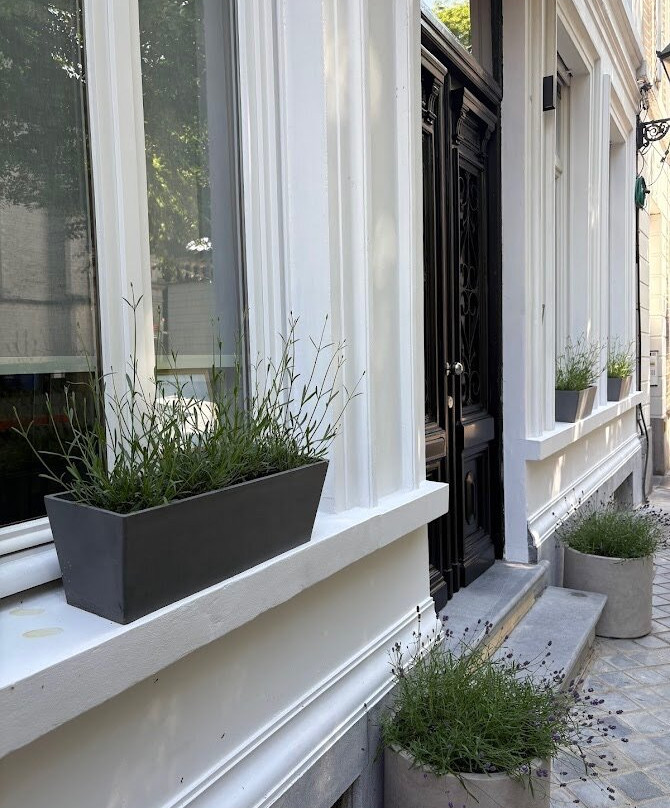 Maison Martin 7