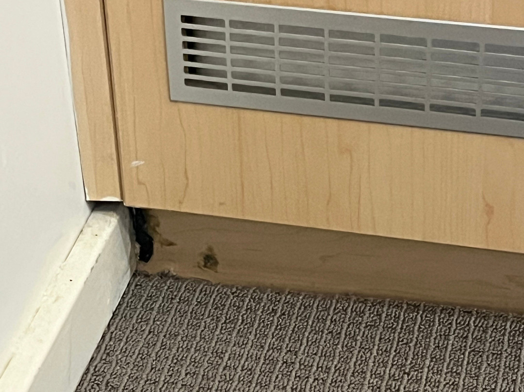 Cessnock Motel主图