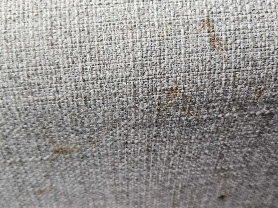 Ocean House Hotel at Bass Rocks主图