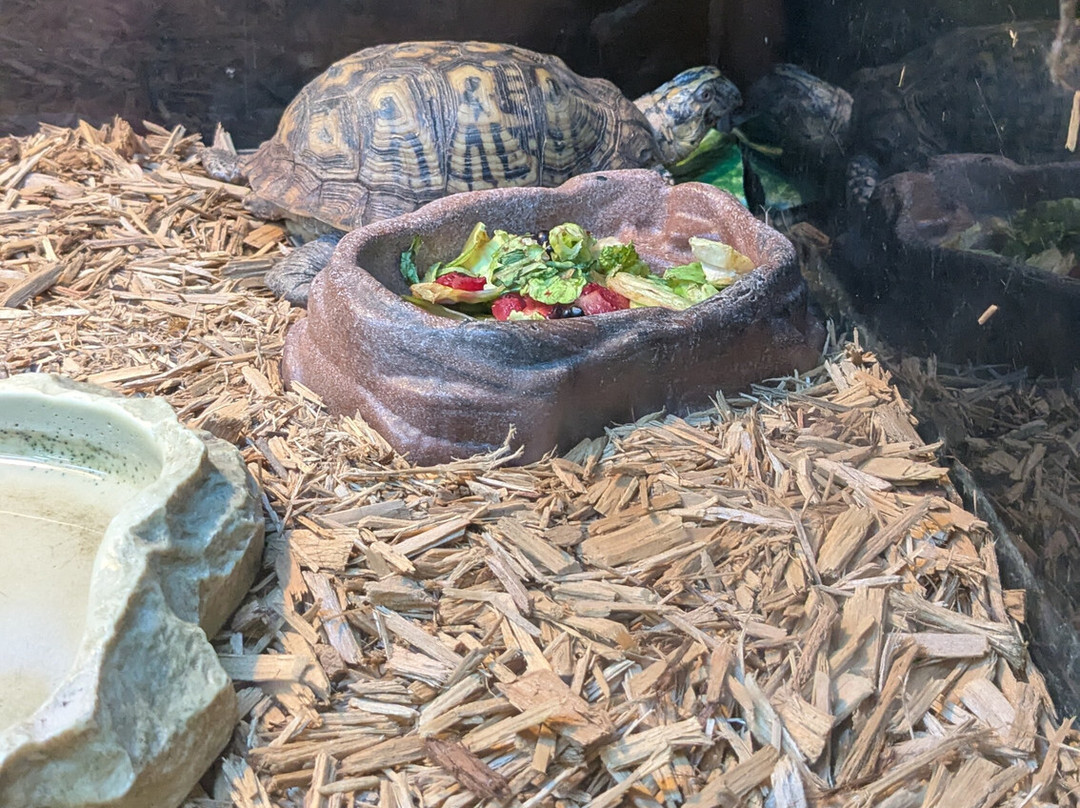 Outdoor Discovery Center-荷兰村必去景点