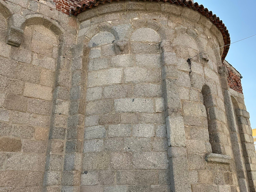 Museum Civitatense Basilica di San Simplicio-奥尔比亚必去景点