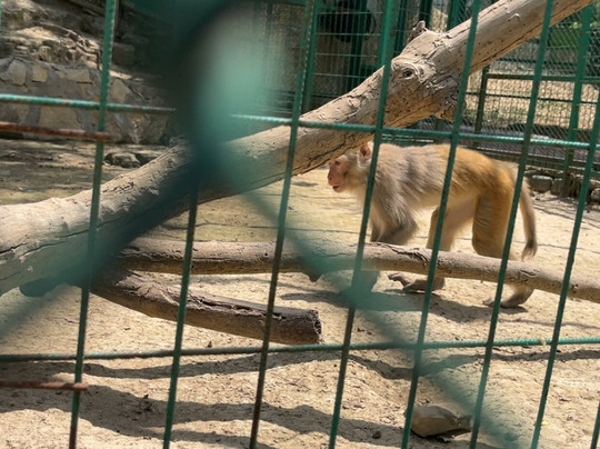 Discovery Park-Ilica必去景点