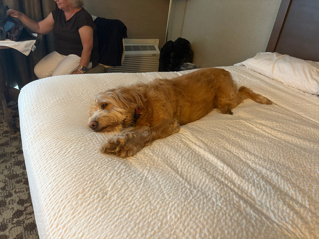 波特兰华美达广场酒店主图