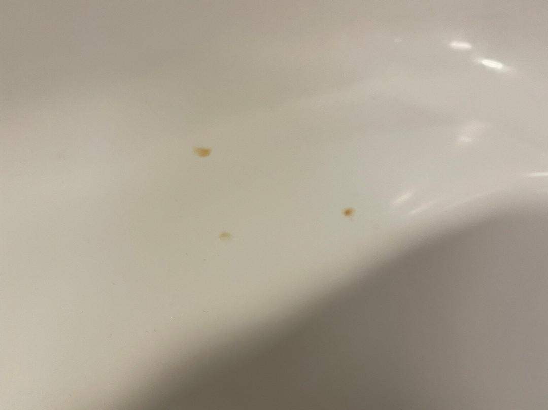 Red Roof PLUS+ Long Island - Garden City主图