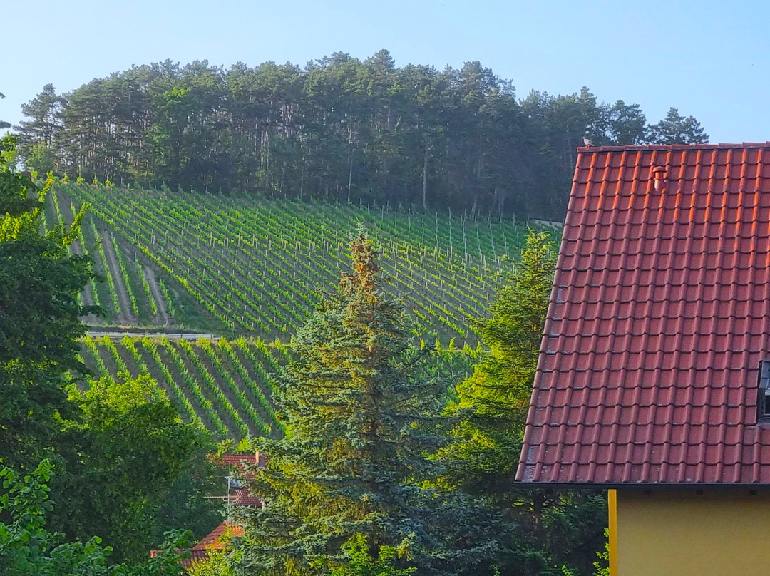 Gästehaus Bräuscheuere