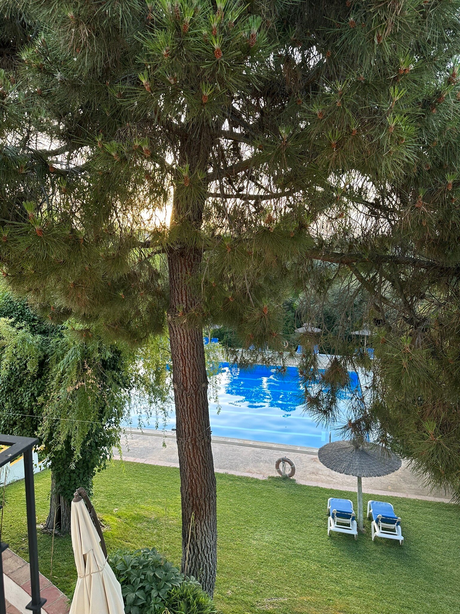 Hotel Tugasa El Almendral-官方