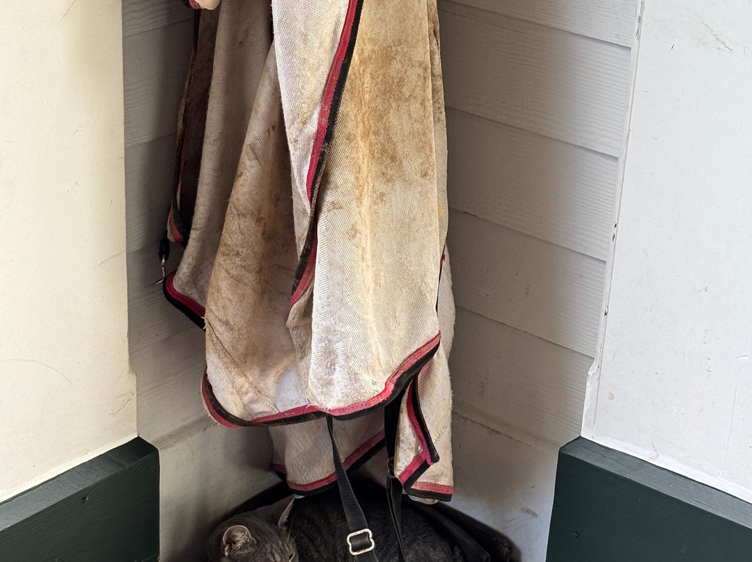 Spendthrift Farm-列克星敦必去景点