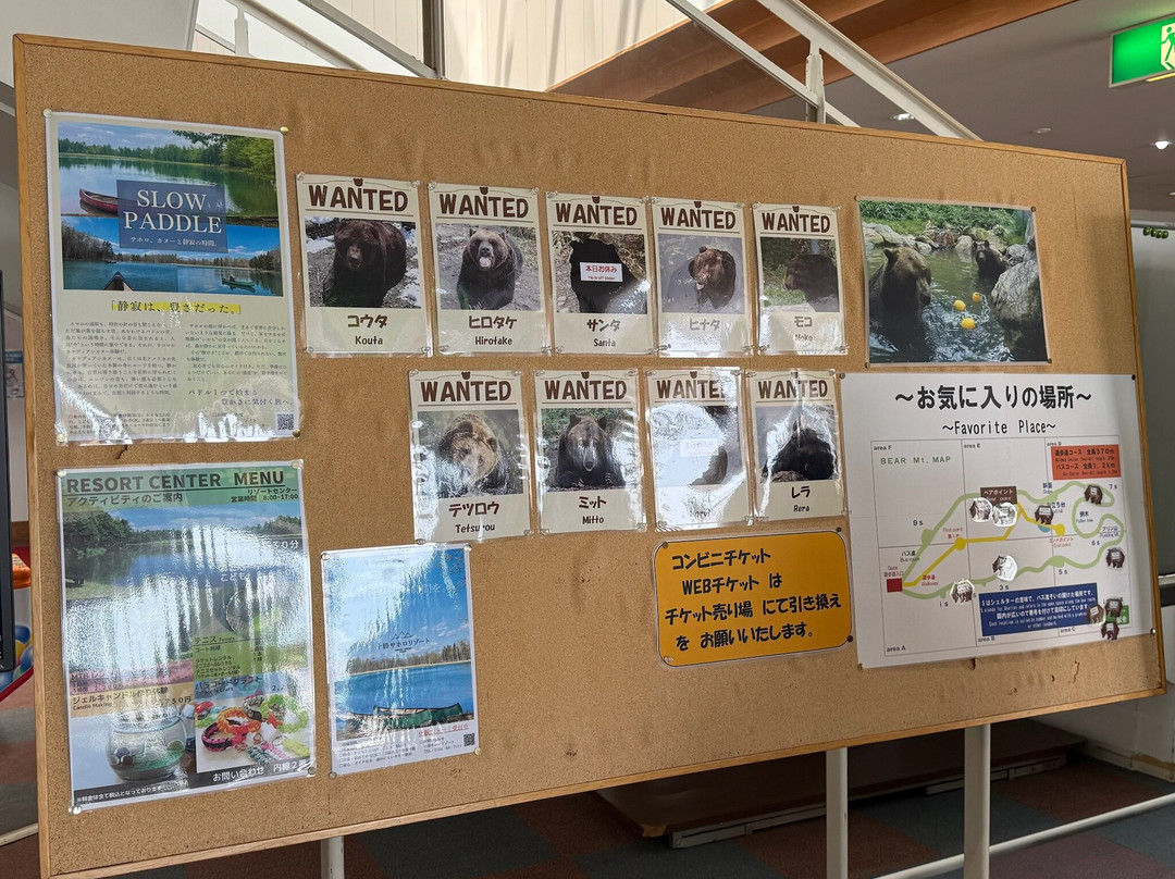 Bear Mountain Sahoro-新得町必去景点