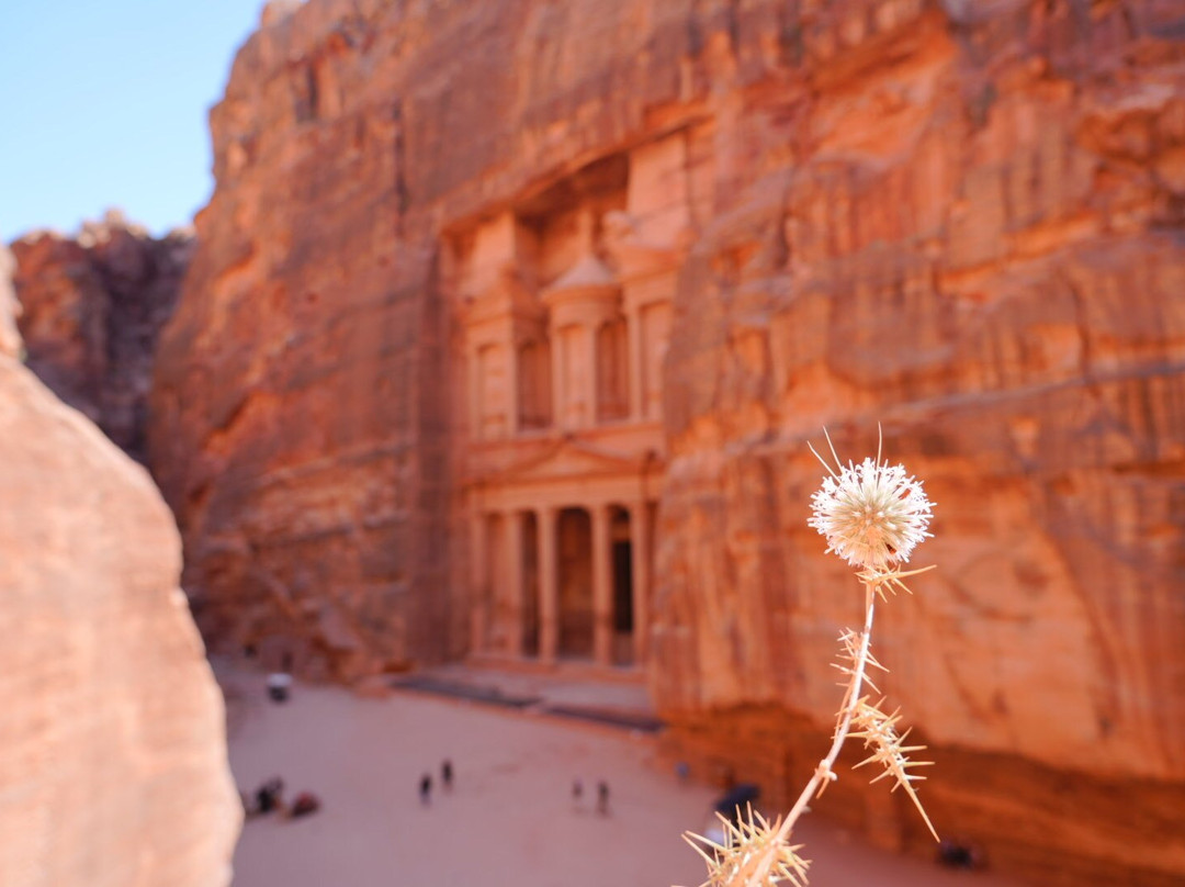 Jordan Attraction Tours-安曼必去景点